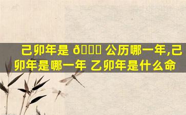 己卯年是 💐 公历哪一年,己卯年是哪一年 乙卯年是什么命